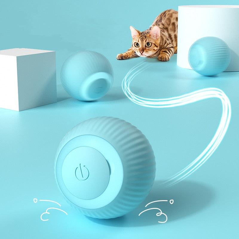 Bolinha Inteligente para Gatos - World produtos